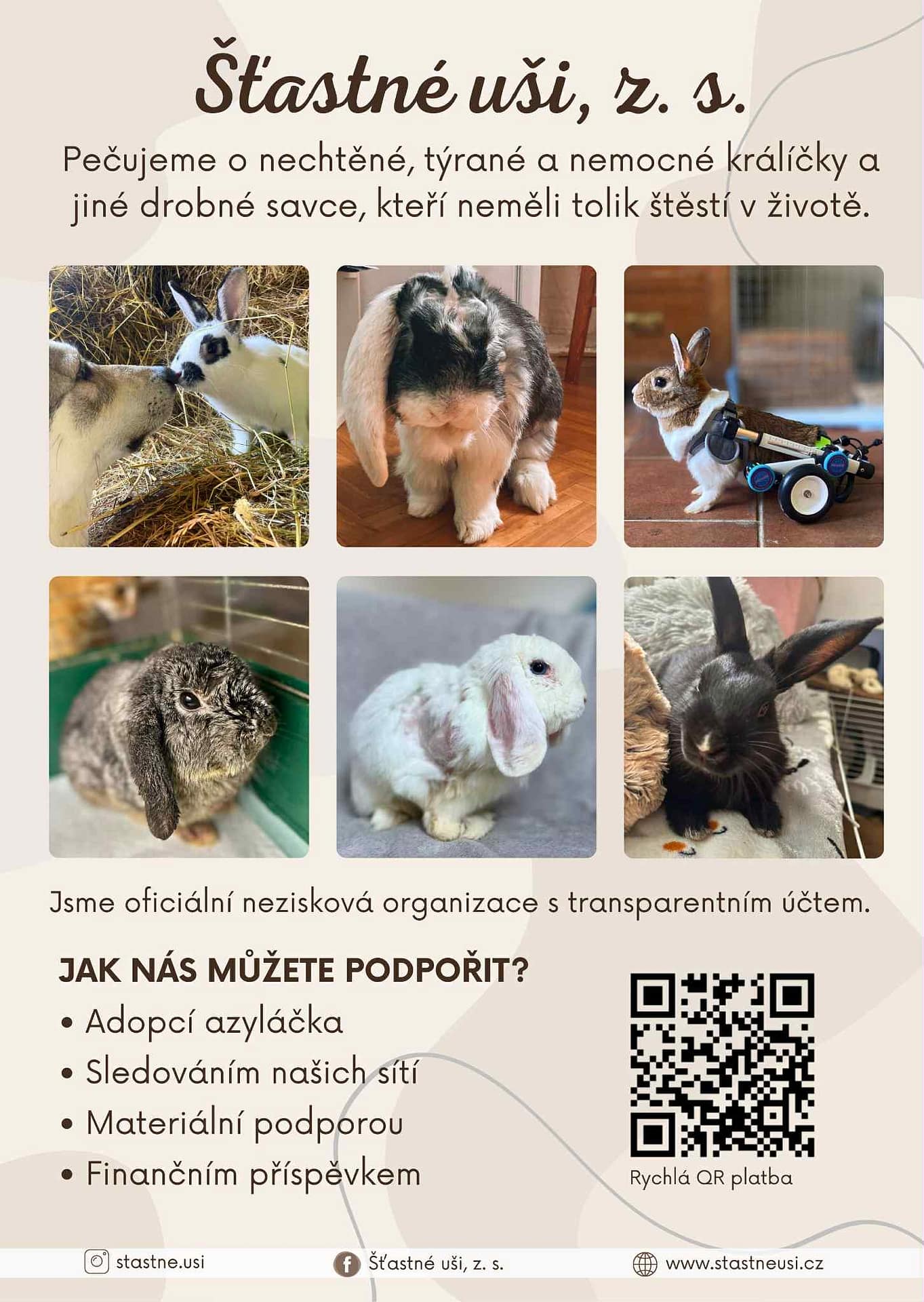 Popis obrázku