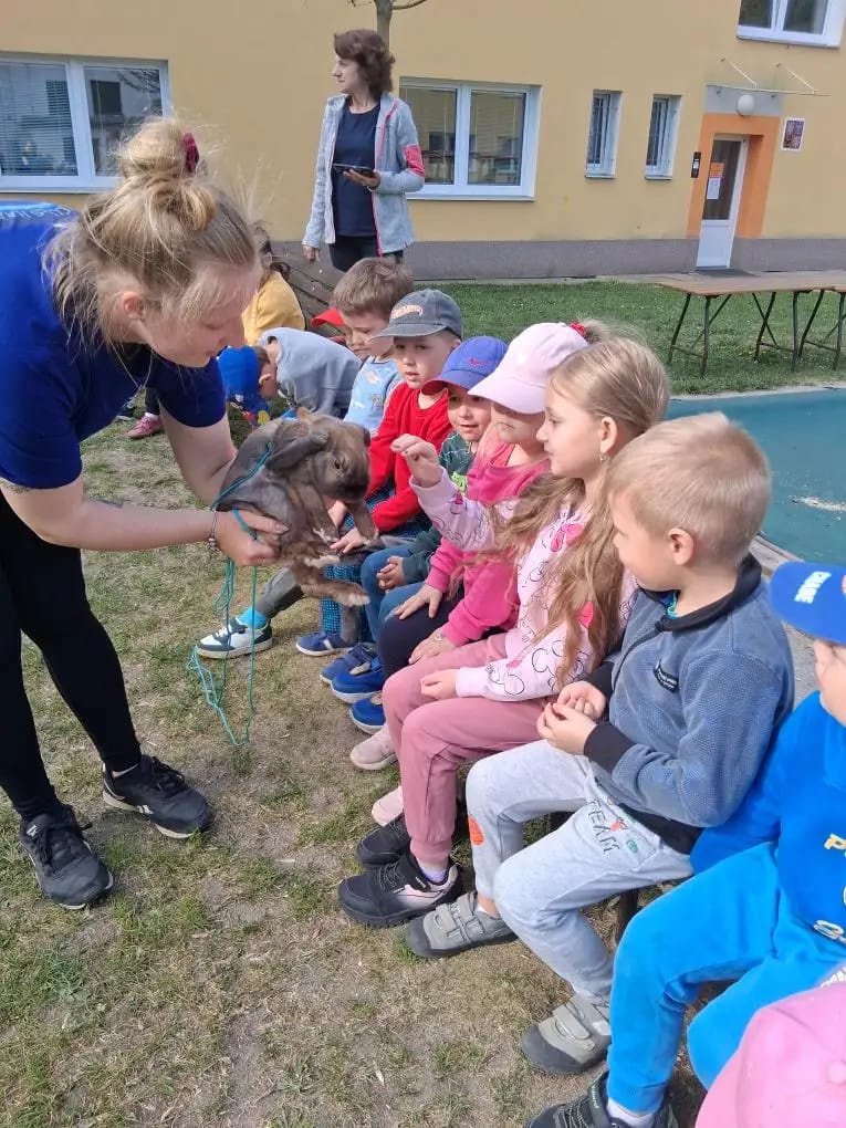 MŠ Husova Hořice 1
